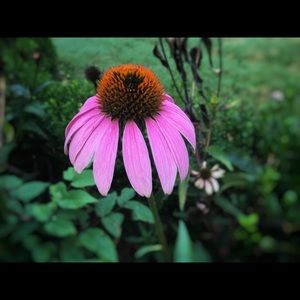 Meet your Posher, Stefani